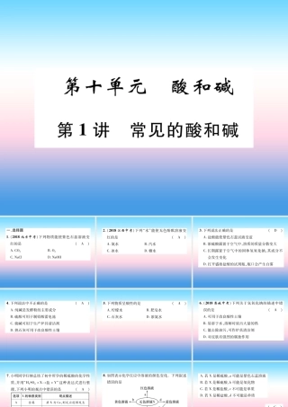 中考化学复习 第1编 教材知识梳理篇 第10单元 酸和碱 第1讲 常见的酸和碱(精练)课件