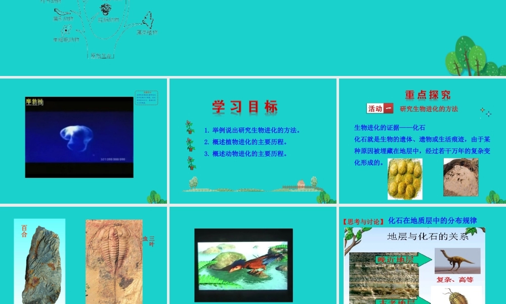 八年级生物下册 7.3.2 地球上生命的起源课件 八年级生物下册 7.3.2 地球上生命的起源课件+素材(新版)新人教版 八年级生物下册 7.3.2 地球上生命的起源课件+素材(新版)新人教版-2