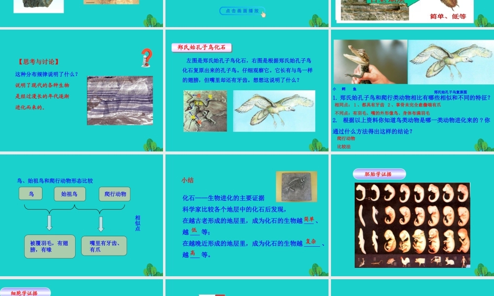 八年级生物下册 7.3.2 地球上生命的起源课件 八年级生物下册 7.3.2 地球上生命的起源课件+素材(新版)新人教版 八年级生物下册 7.3.2 地球上生命的起源课件+素材(新版)新人教版-2