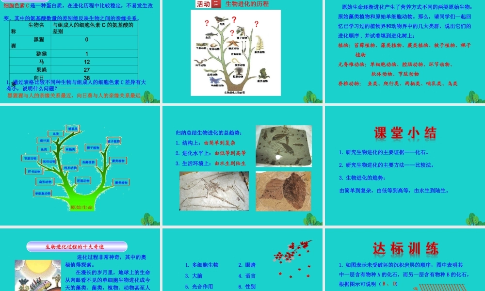 八年级生物下册 7.3.2 地球上生命的起源课件 八年级生物下册 7.3.2 地球上生命的起源课件+素材(新版)新人教版 八年级生物下册 7.3.2 地球上生命的起源课件+素材(新版)新人教版-2