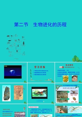 八年级生物下册 7.3.2 地球上生命的起源课件 八年级生物下册 7.3.2 地球上生命的起源课件+素材(新版)新人教版 八年级生物下册 7.3.2 地球上生命的起源课件+素材(新版)新人教版-2