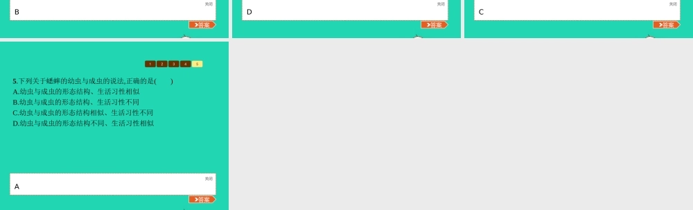 八年级生物上册 第四单元 第二章 第一节 昆虫的生殖和发育(第2课时 探究果蝇的发育)课件 (新版)济南版 课件