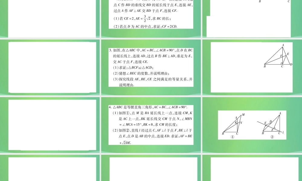 中考数学复习 第三轮 压轴题突破 重难点突破四 几何图形的相关证明与计算(精练)课件