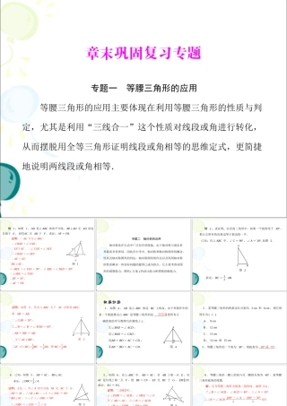 《轴对称》__章末巩固复习专题