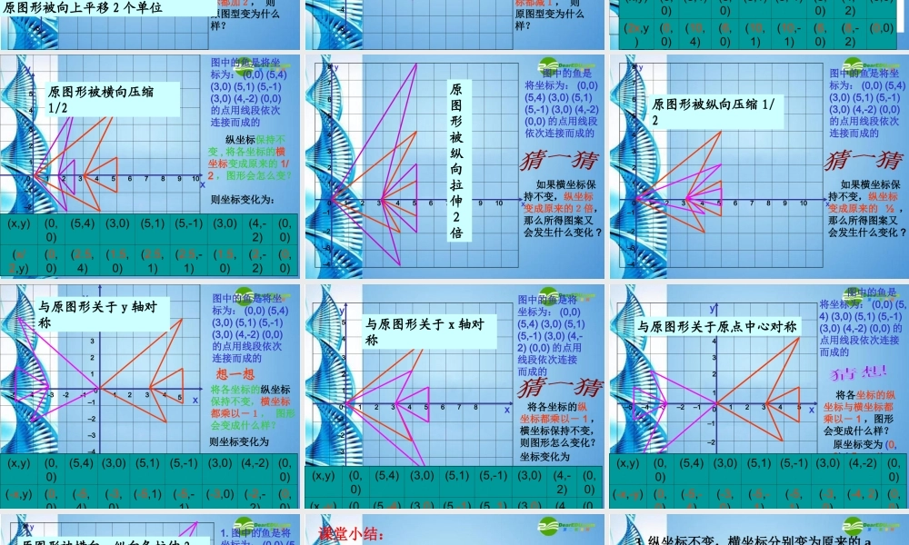 八年级数学上册 第五章(确定位置)之(变化的鱼)课件 北师大版 课件