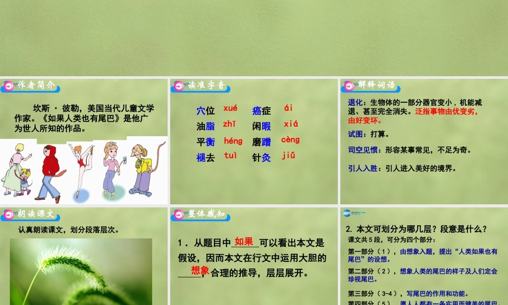 中学七年级语文上册 果人类也有尾巴课件 (新版)语文版 课件