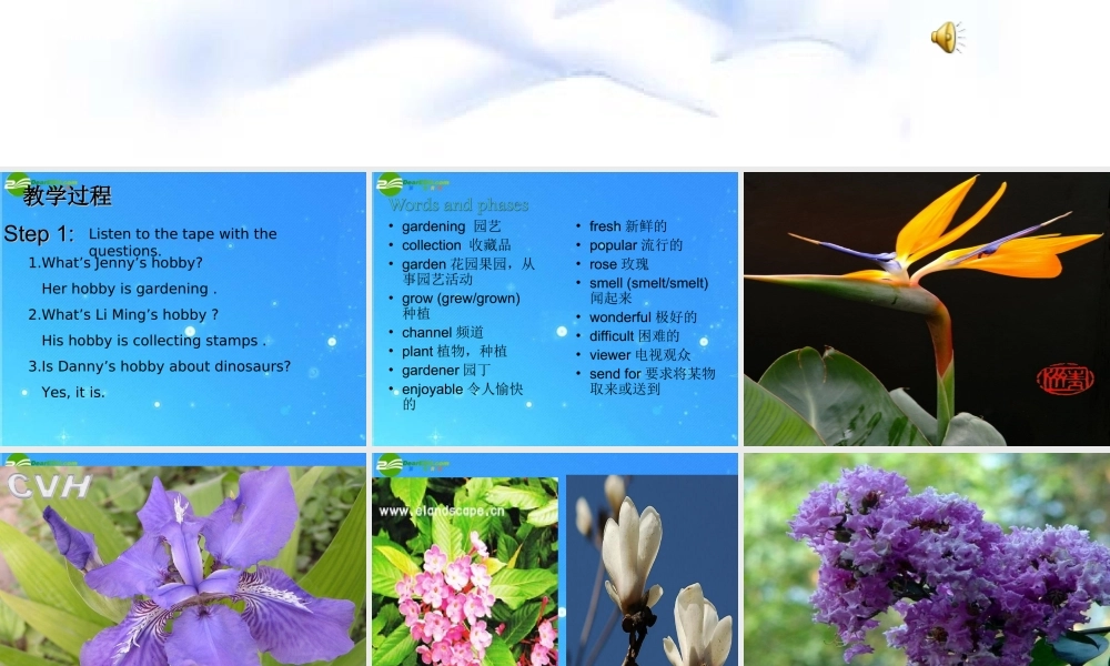 八年级英语上册 Unit 7 Enjoy Your Hobby Lesson 51 Different Hobbies课件 冀教版 课件