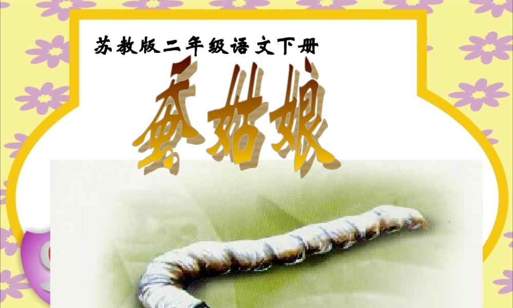蚕姑娘 课件