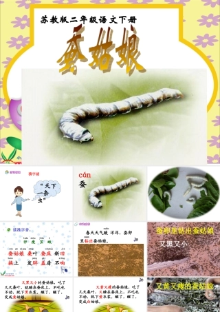 蚕姑娘 课件
