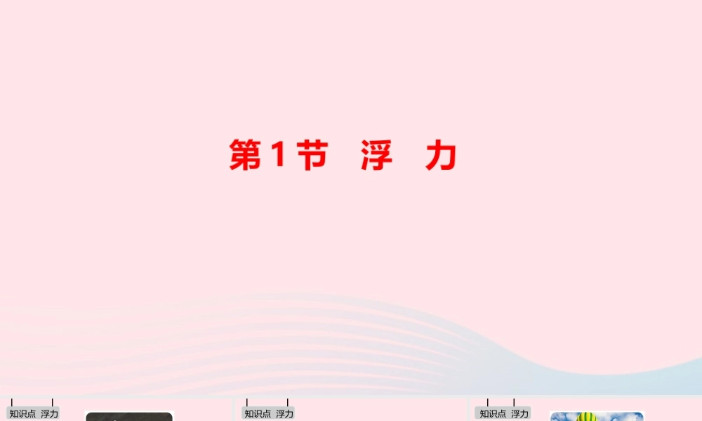 八年级物理下册 第十章 浮力课件 (新版)新人教版 课件