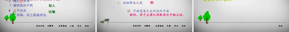 中学八年级语文上册 22(短文两篇)爱莲说课件 新人教版 课件