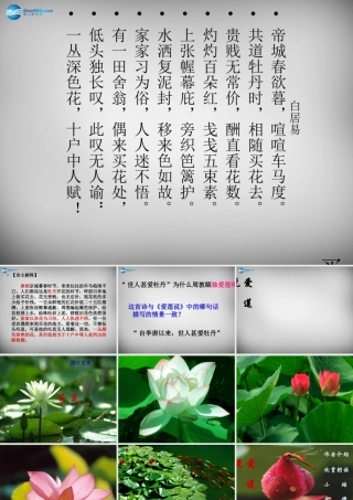中学八年级语文上册 22(短文两篇)爱莲说课件 新人教版 课件