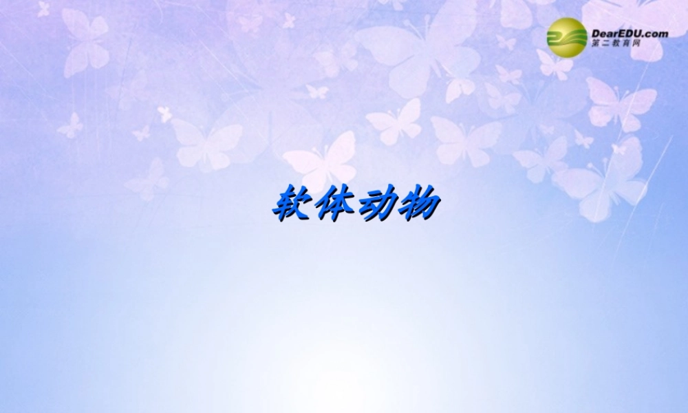 八年级生物上册 第五单元 1.3 软体动物课件2 (新版)新人教版 课件