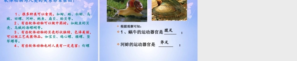 八年级生物上册 第五单元 1.3 软体动物课件2 (新版)新人教版 课件