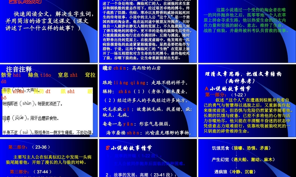九年级语文上(热爱生命)课件1长春版 课件