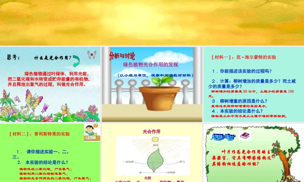七年级生物 植物的光合作用和呼吸作用课件 苏教版 课件