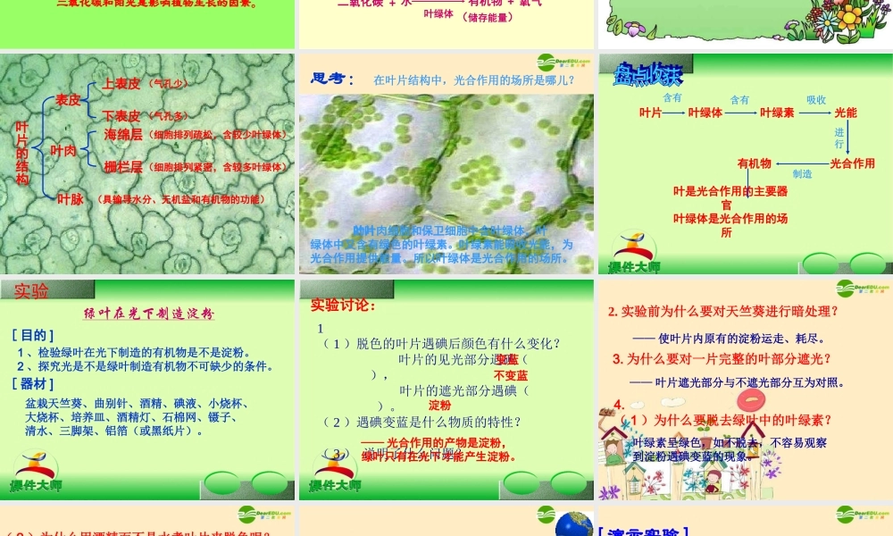 七年级生物 植物的光合作用和呼吸作用课件 苏教版 课件