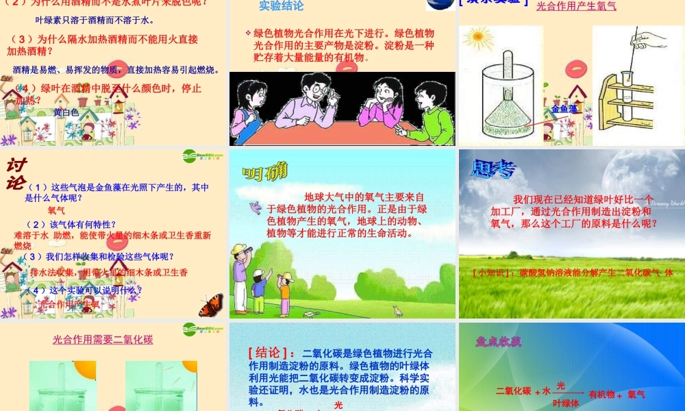 七年级生物 植物的光合作用和呼吸作用课件 苏教版 课件