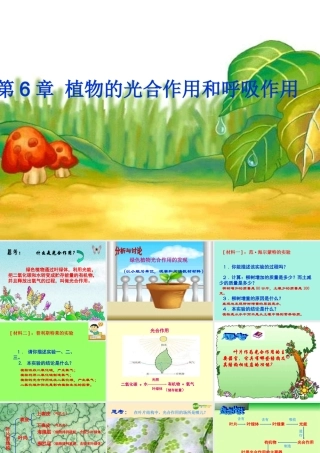 七年级生物 植物的光合作用和呼吸作用课件 苏教版 课件