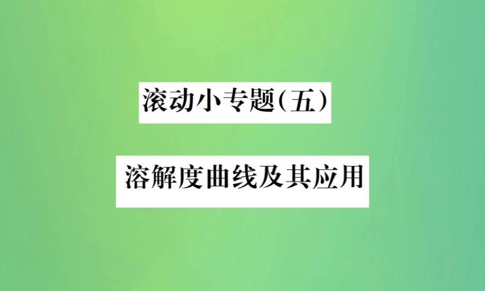 中考化学总复习 滚动小专题(五)溶解度曲线及其应用课件