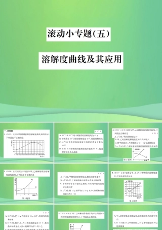 中考化学总复习 滚动小专题(五)溶解度曲线及其应用课件