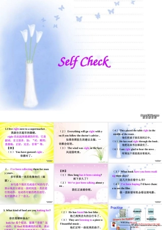 九年级英语Unit11 selfcheck 课件 人教新目标版 课件