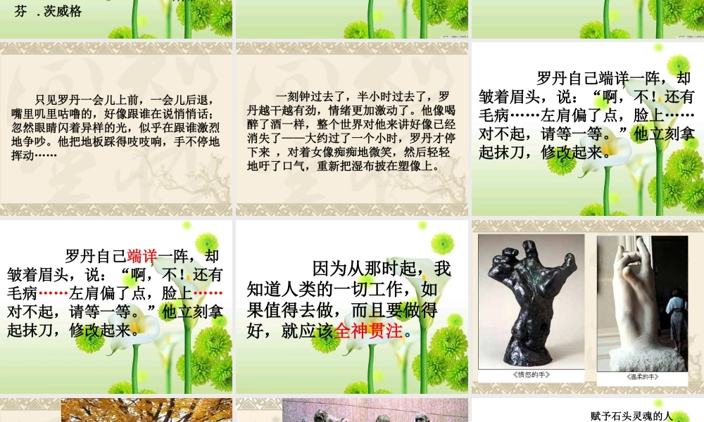 全神贯注课件