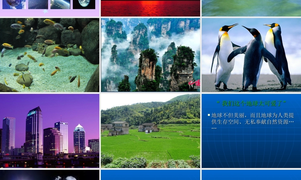 只有一个地球7