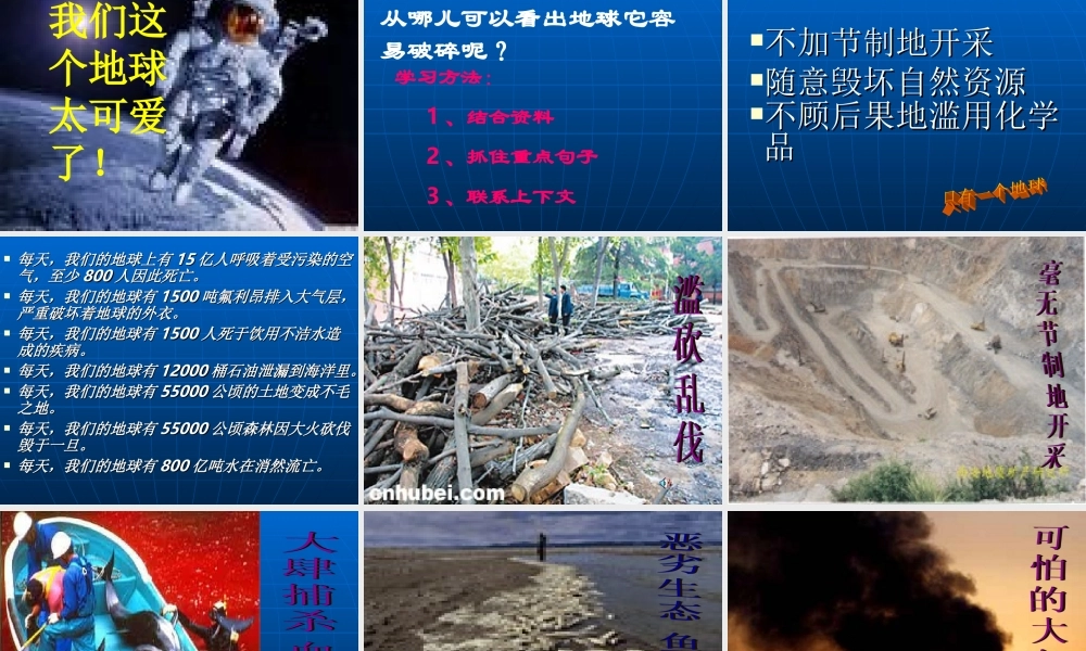 只有一个地球7