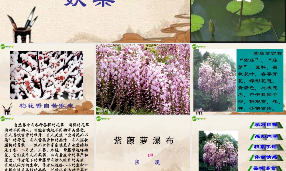 七年级语文上册 第四课(紫藤萝瀑布)课件 人教新课标版 课件