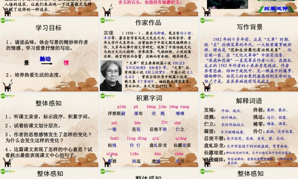 七年级语文上册 第四课(紫藤萝瀑布)课件 人教新课标版 课件