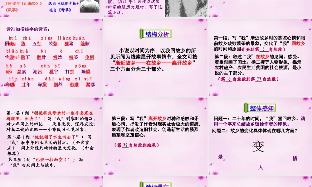 九年级语文上册 9(故乡)课件2 新人教版 课件