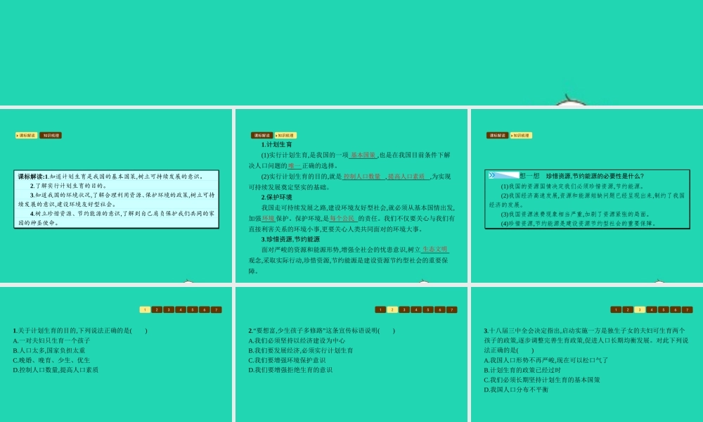 九年级政治全册 第二单元 关注自然 关注人类 第二节 我国的环境压力 第3框 环境污染与破坏课件 湘教版 课件
