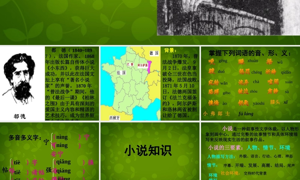 八年级语文上册 7 最后一课课件1 苏教版 课件