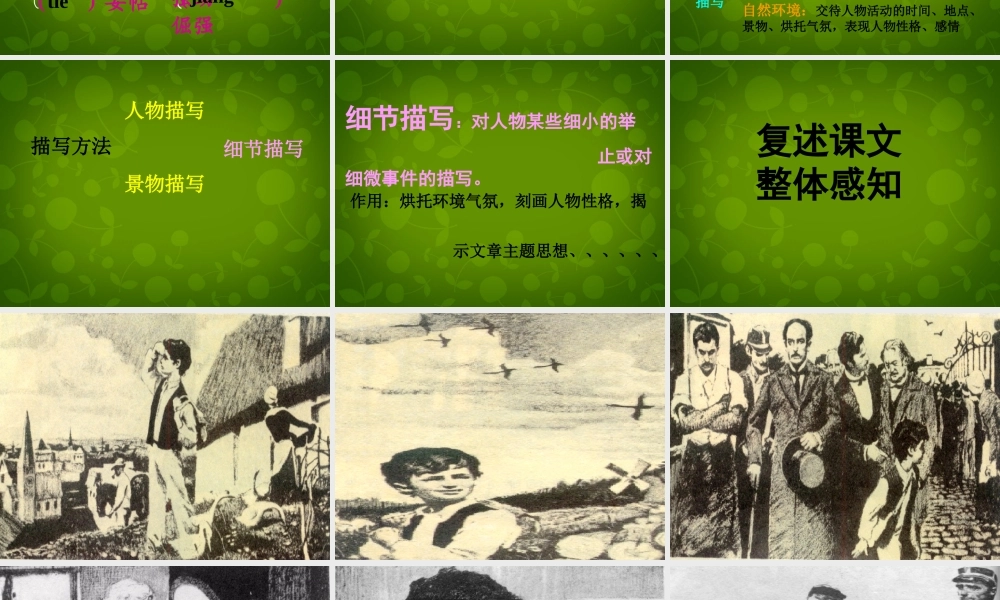 八年级语文上册 7 最后一课课件1 苏教版 课件