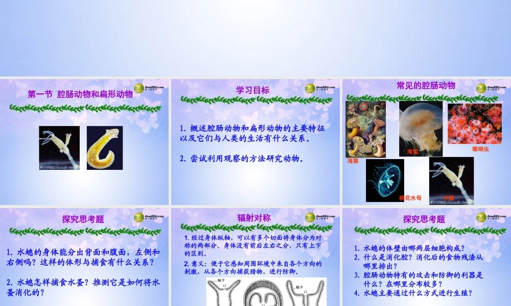 八年级生物上册 第五单元 第一章 第一节 腔肠动物和扁形动物课件2 新人教版 课件