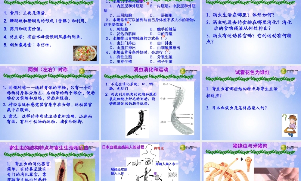 八年级生物上册 第五单元 第一章 第一节 腔肠动物和扁形动物课件2 新人教版 课件