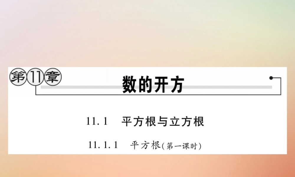 八年级数学上册 第11章 数的开方 11.1 平方根与立方根 11.1.1 平方根(第1课时)课时检测课件 (新版)华东师大版 课件