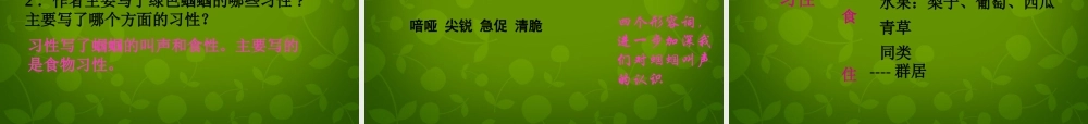 中学七年级语文上册 23 绿色蝈蝈课件 (新版)新人教版