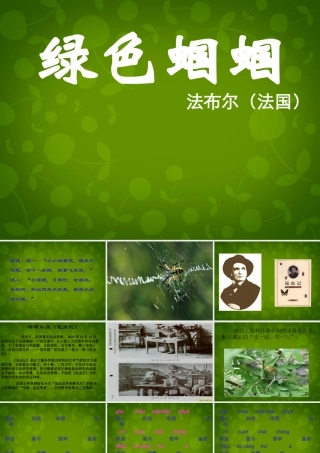 中学七年级语文上册 23 绿色蝈蝈课件 (新版)新人教版