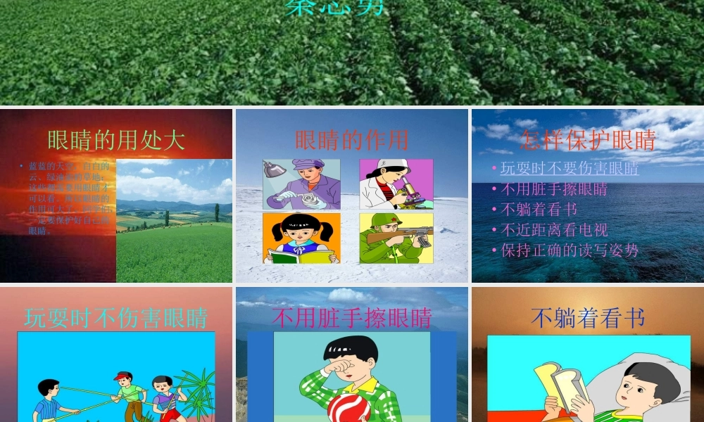 保护眼睛课件