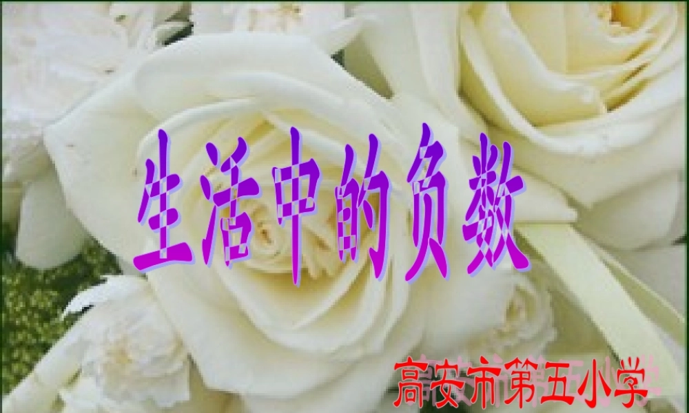 生活中的负数 (3)