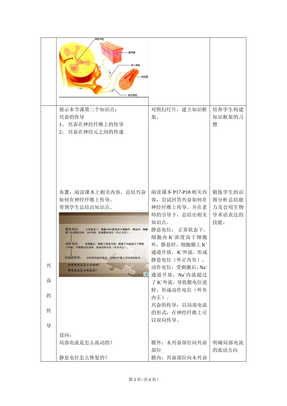 高中生物__通过神经系统的调节(复习课)教学设计_第3页