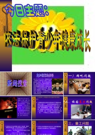 八年级政治依法保护青少年的健康成长课件 新课标 人教版 课件