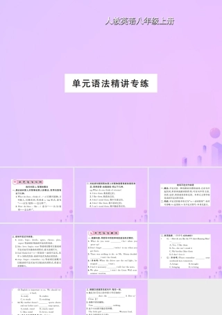 八年级英语上册 Unit 5 Do you want to watch a game show语法精讲专练习题课件 (新版)人教新目标版 课件