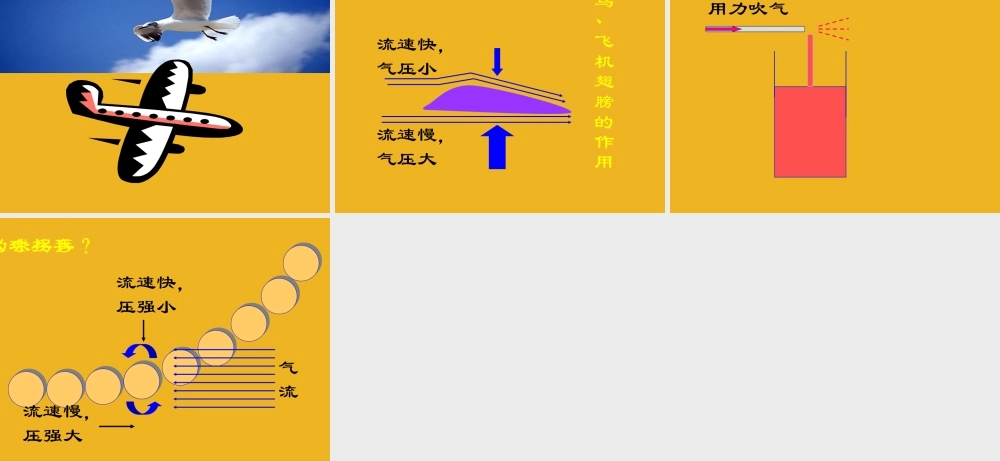 八年级科学上册 3.4流体压强与流速的关系课件 华师大版 课件