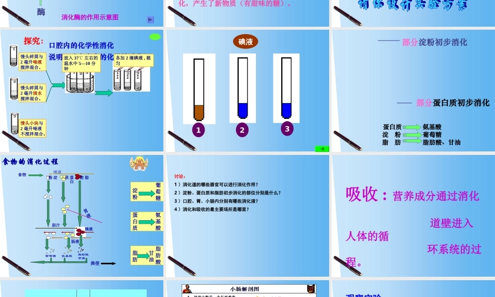 七年级生物下册 消化和吸收课件