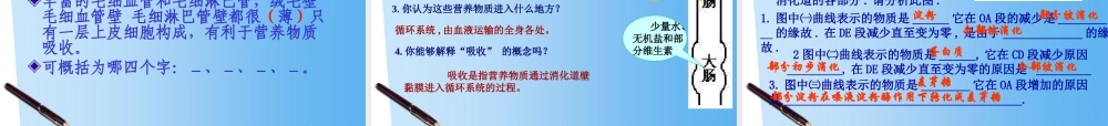 七年级生物下册 消化和吸收课件