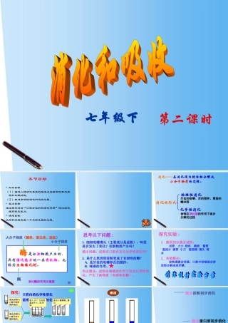 七年级生物下册 消化和吸收课件