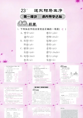 九年级语文下册 23 送东阳马生序课件 语文版 课件